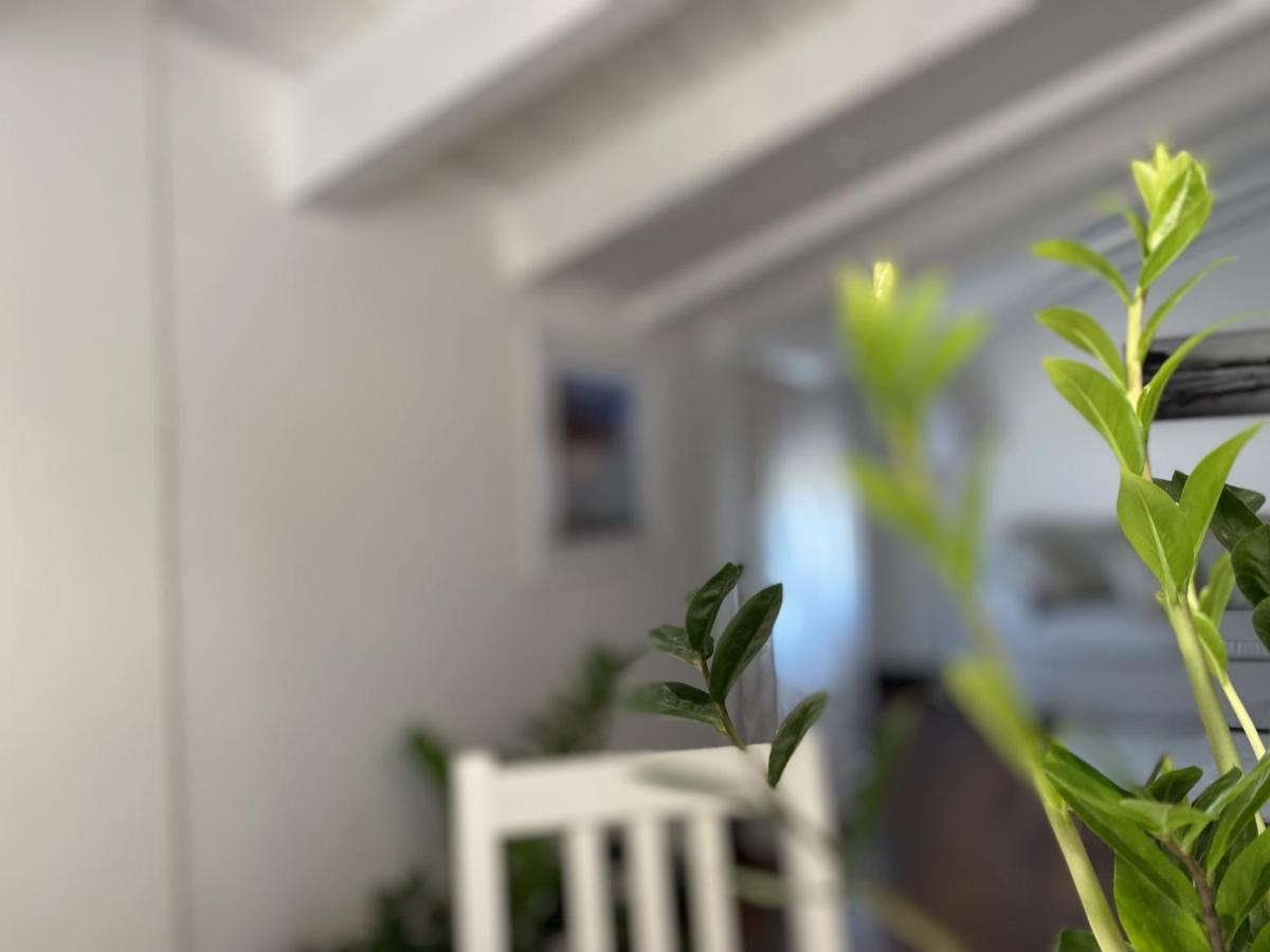 斯培西亚Casa Alda公寓 外观 照片